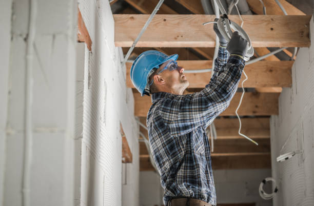 Best Electrical Upgrades for Homes  in Albion, NE