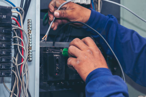 Best Electric Panel Repair  in Albion, NE